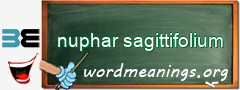 WordMeaning blackboard for nuphar sagittifolium